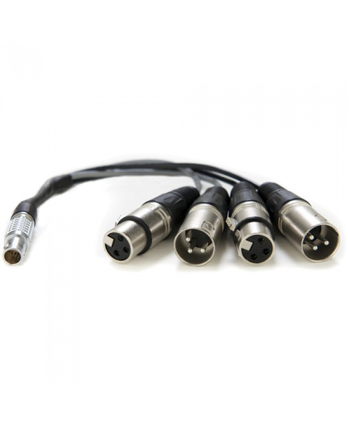 Atomos 10-Pin LEMO Type to XLR Breakout Cable for Shogun