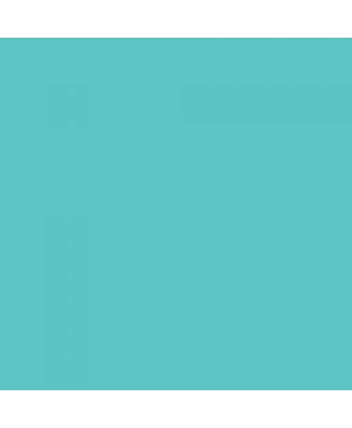 Savage Widetone Seamless Background Paper #47 Baby Blue 2.7m